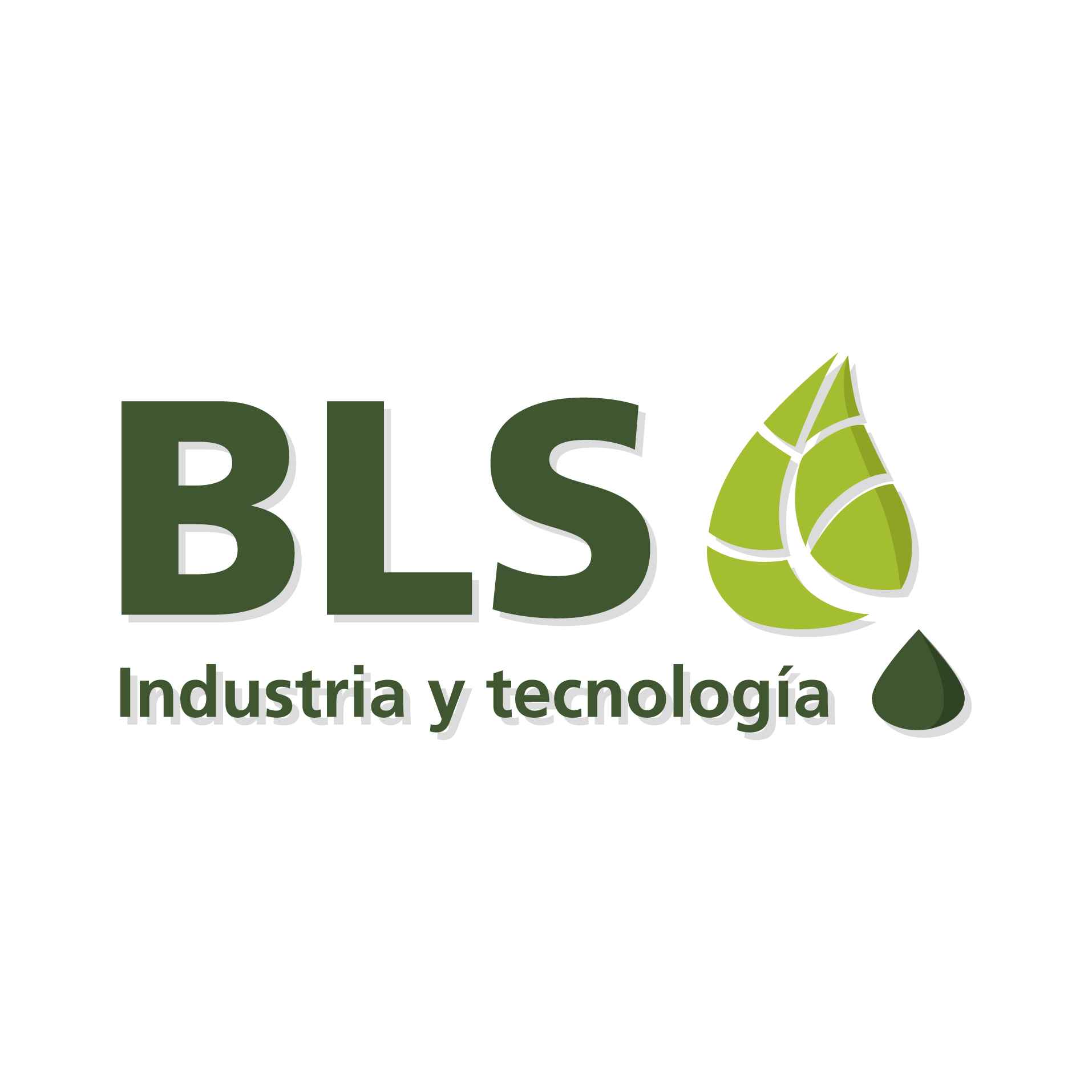 BLS Industria y Tecnología S.R.L