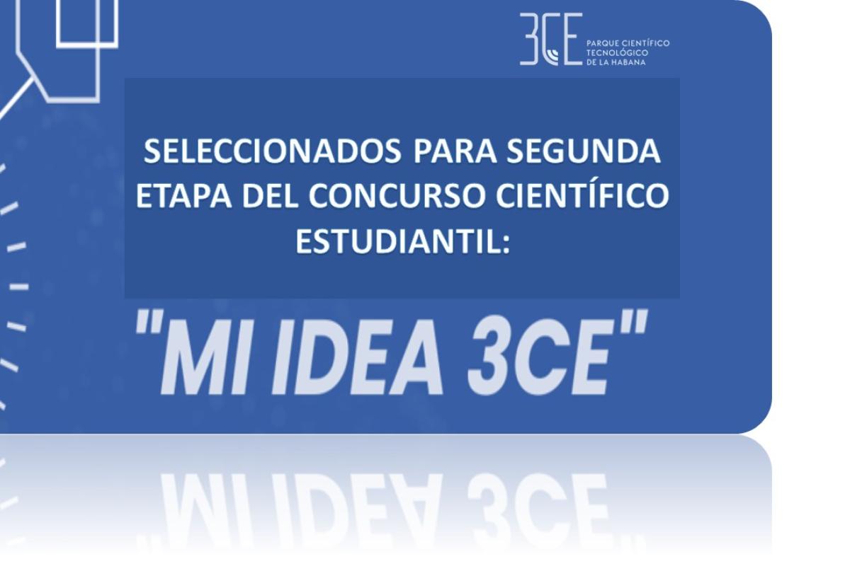 seleccionados Concurso